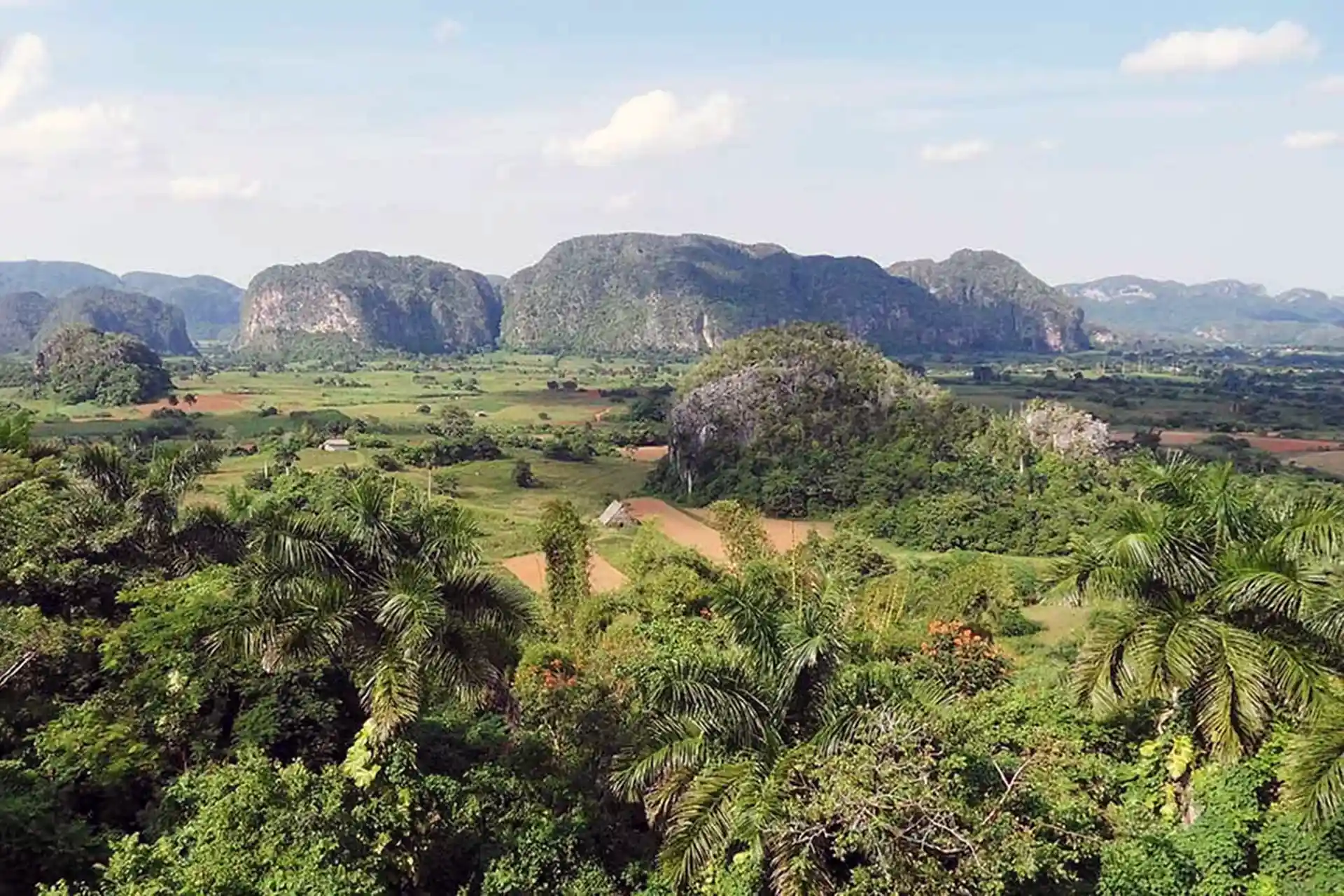 Panoramic view of Vinales with a forest and mountains in the horizon